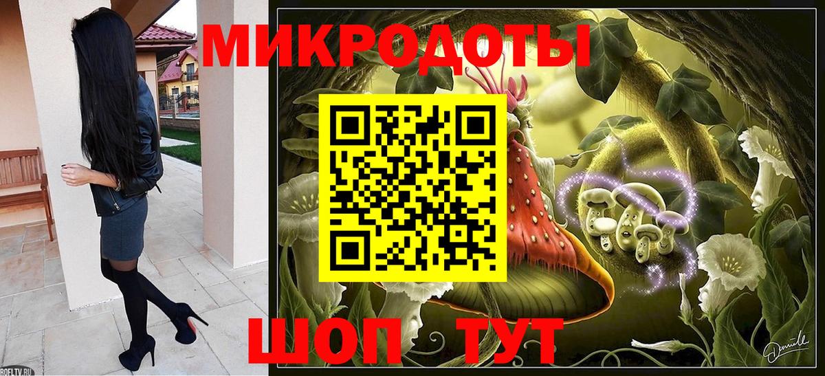Псилоцибиновые грибы прущие грибы  Вход с VPN  Лесной 